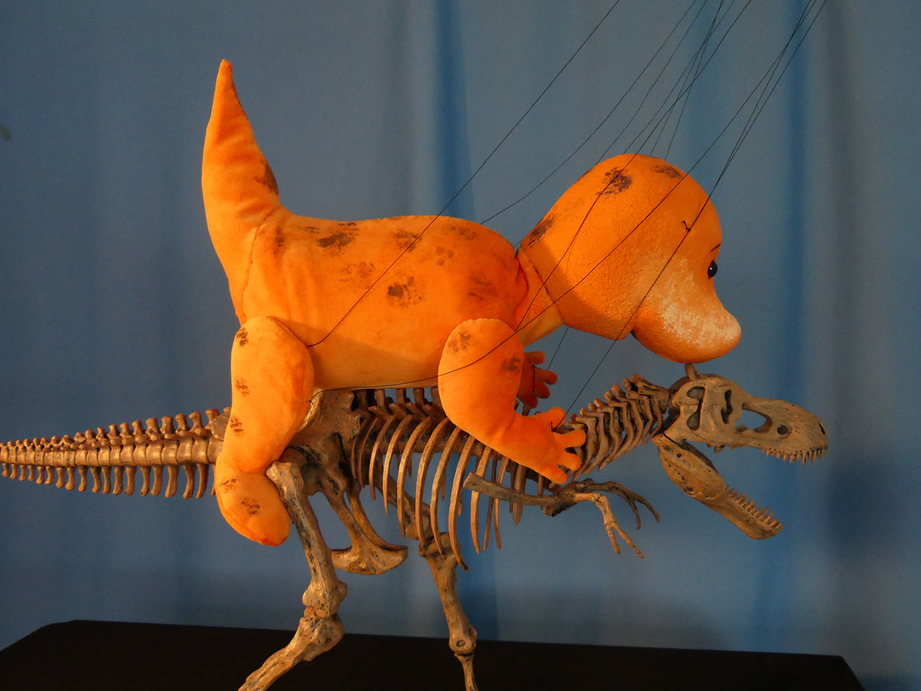 Foto: Bronto (Marionette) reitet auf einem Tyrannosaurus Rex-Skelett